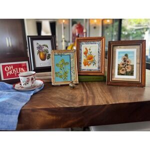 Vintage Botanical Framed Art Set 5pc Gallery Wall Decor Poppies Cactus Pickles